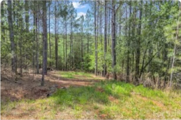 Wooded building lot on Cranberry Lane in Mooresboro, North Carolina