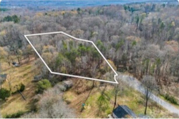 Sold wooded acreage outlined from the air on Pinecrest Drive in Shelby, North Carolina